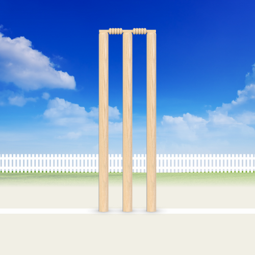 Cricket Stump 1
