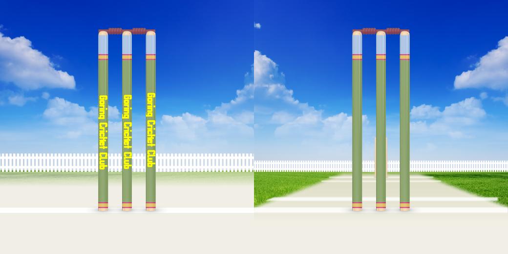 Cricket Stump 3